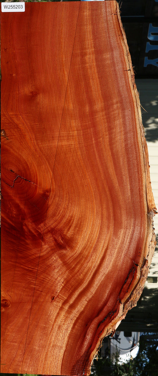 Extra Fancy Brazilian Pepperwood Live Edge Mini Slab