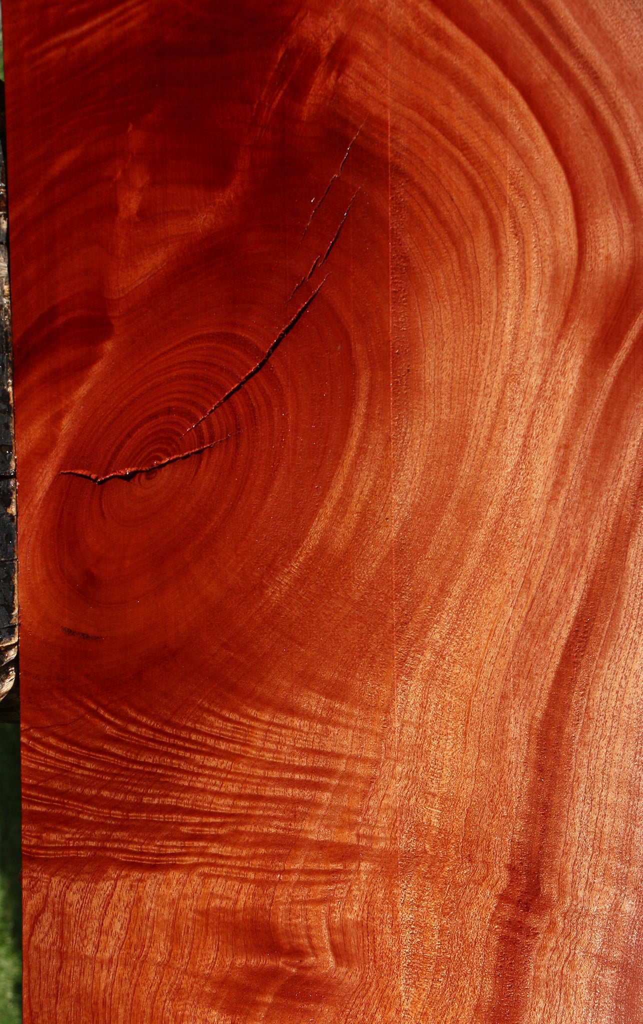 Extra Fancy Brazilian Pepperwood Live Edge Mini Slab