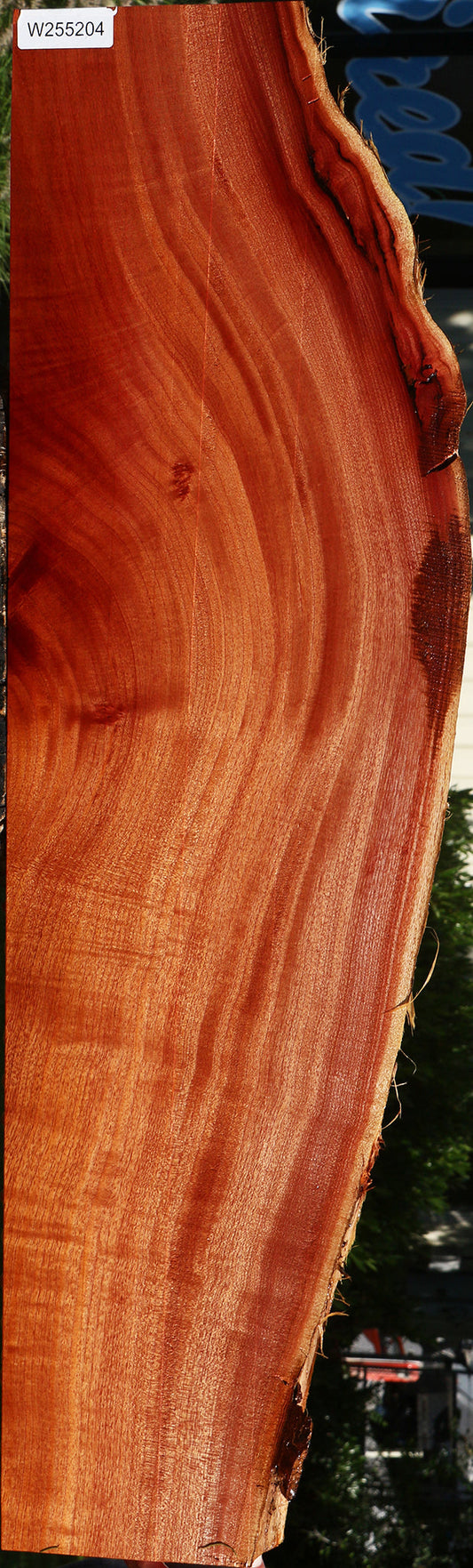 Figured Quartersawn Brazilian Pepperwood Live Edge Mini Slab