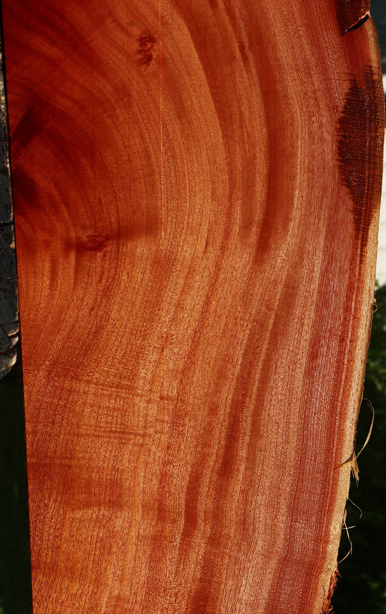 Figured Quartersawn Brazilian Pepperwood Live Edge Mini Slab