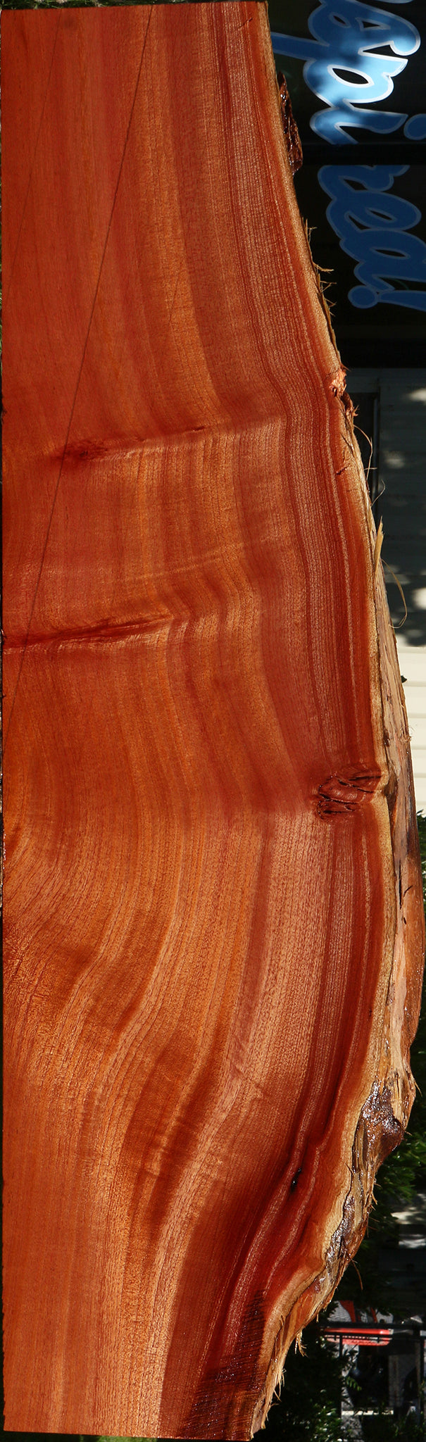 Figured Quartersawn Brazilian Pepperwood Live Edge Mini Slab
