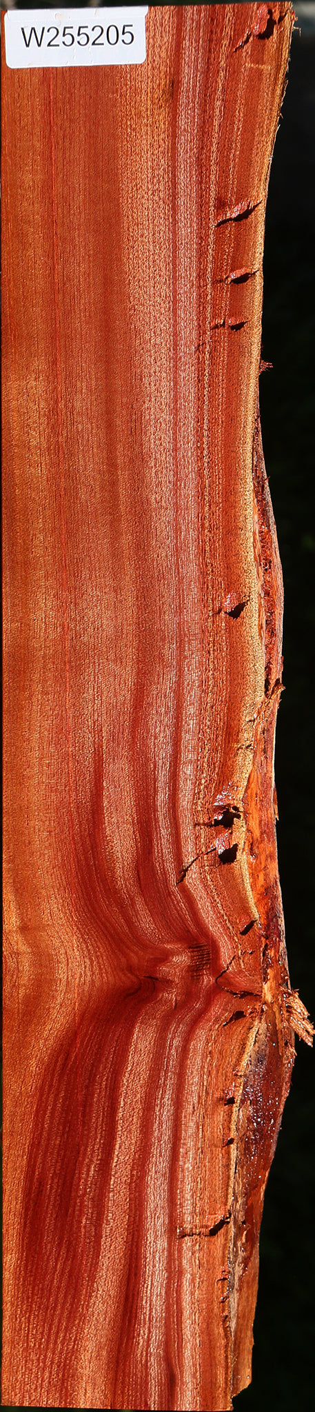 Rustic Brazilian Pepperwood Live Edge Lumber