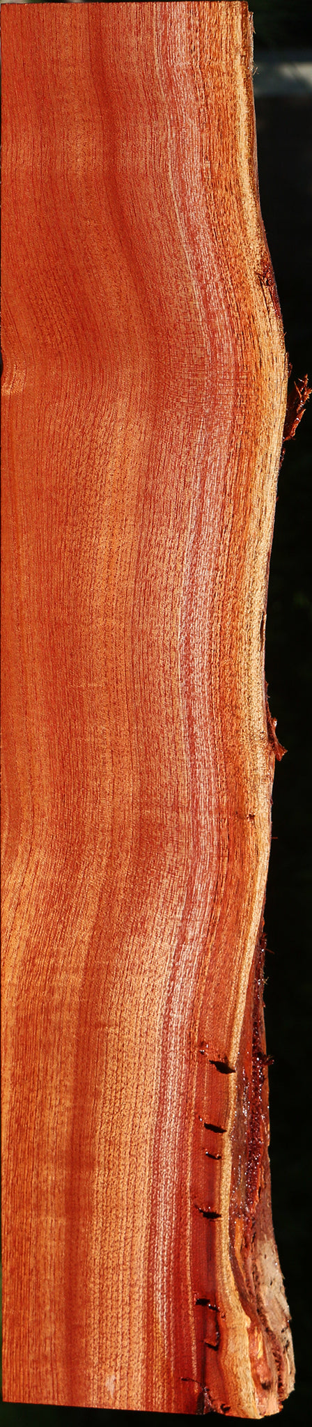 Rustic Brazilian Pepperwood Live Edge Lumber