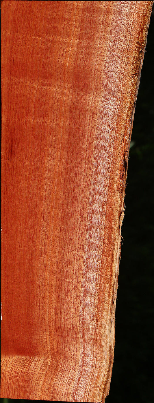 Figured Quartersawn Brazilian Pepperwood Live Edge Lumber