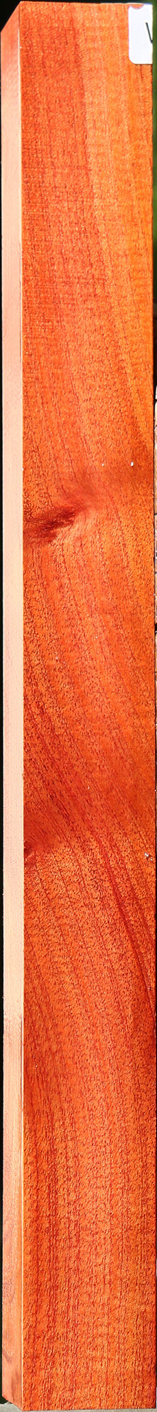 Figured Brazilian Pepperwood Turning Square