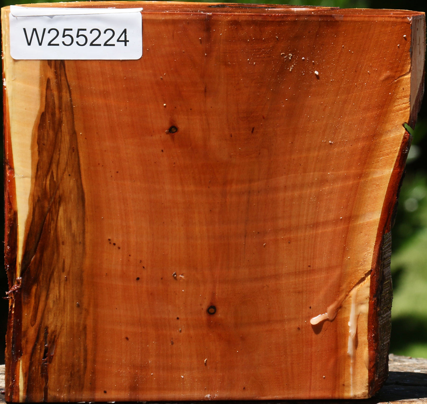 Oregon Ironwood Half Log