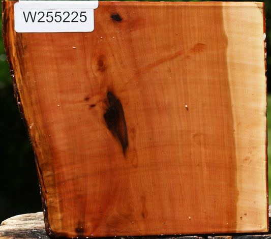 Oregon Ironwood Half Log