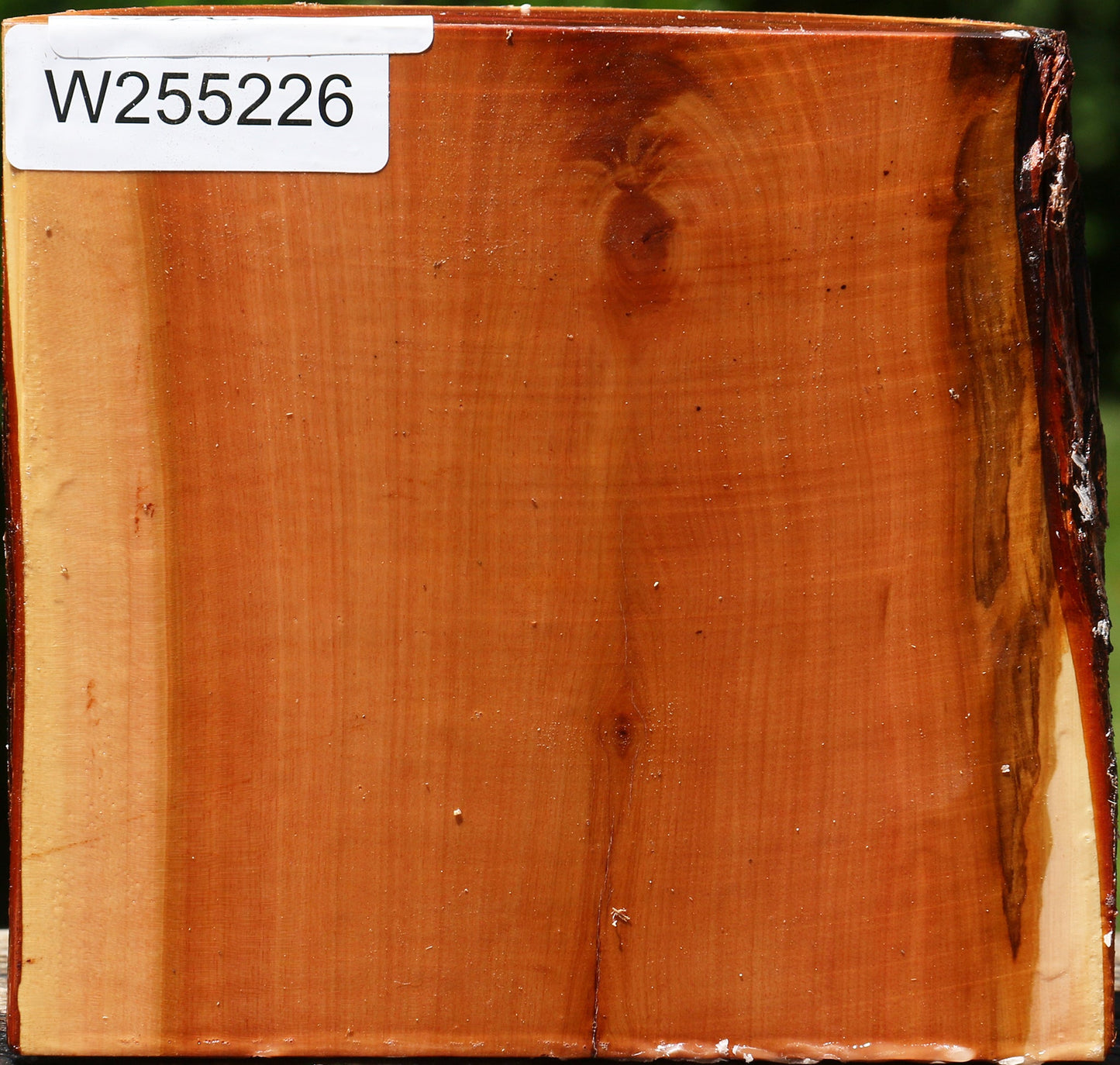 Oregon Ironwood Half Log
