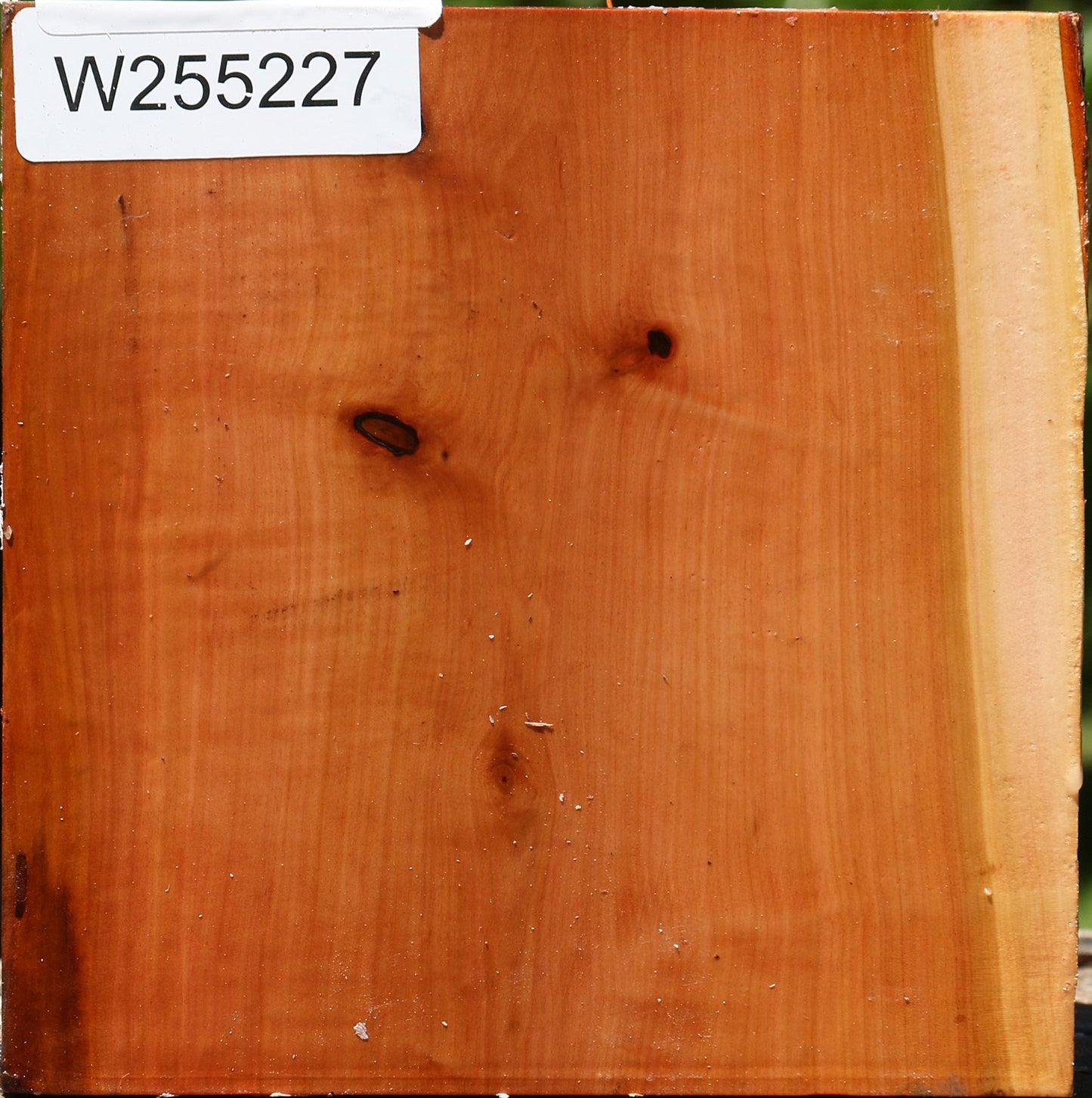 Rustic Oregon Ironwood Half Log