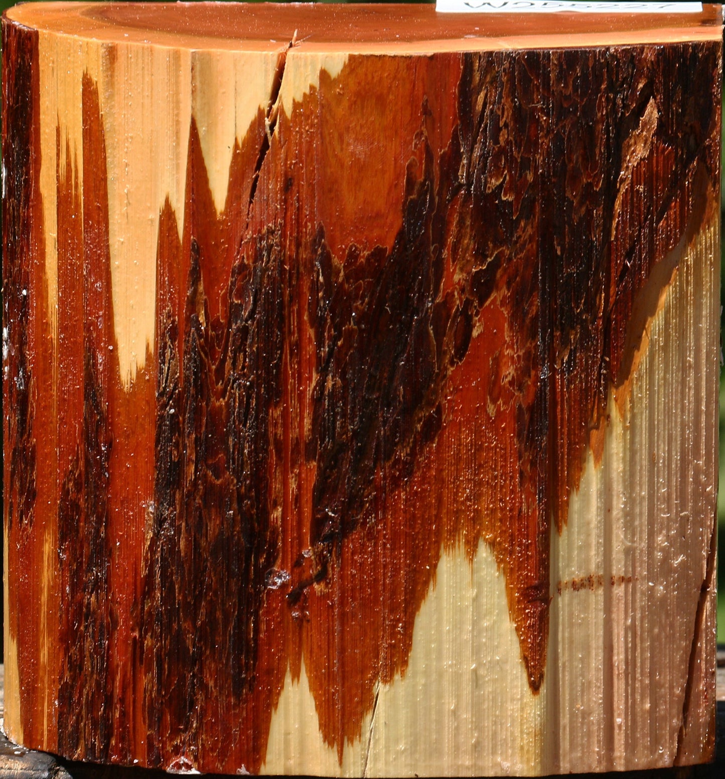 Rustic Oregon Ironwood Half Log