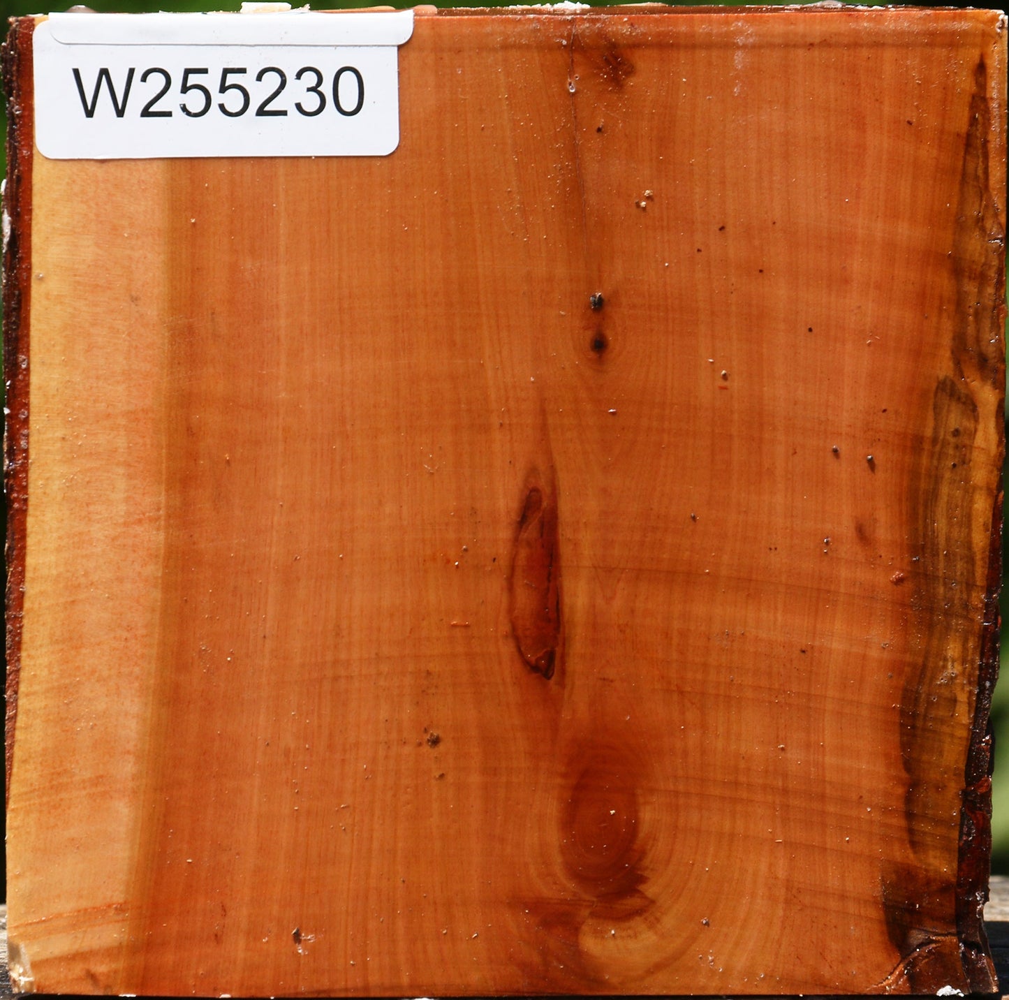 Oregon Ironwood Half Log