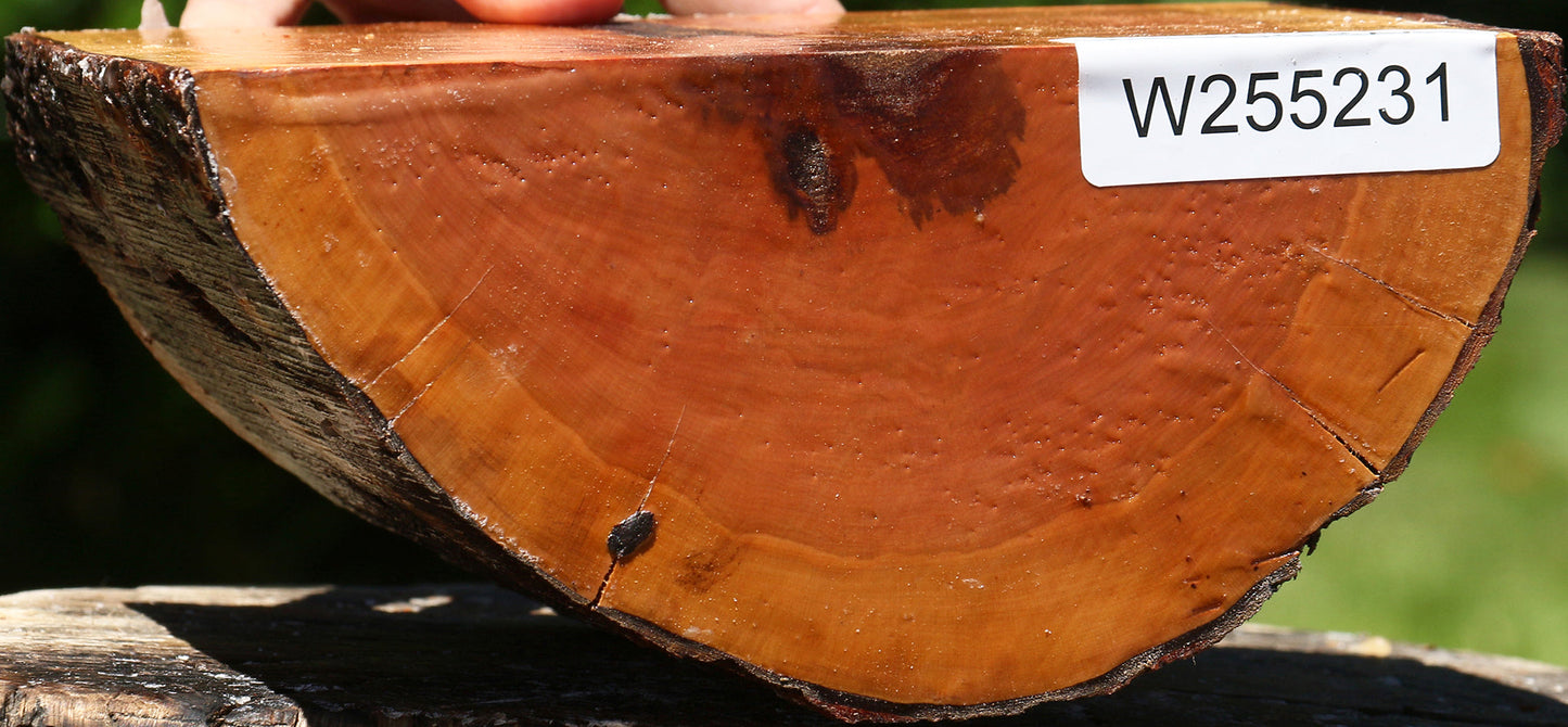 Oregon Ironwood Half Log