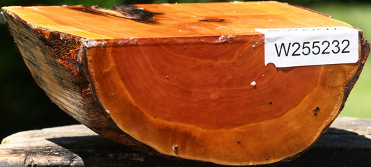 Oregon Ironwood Half Log