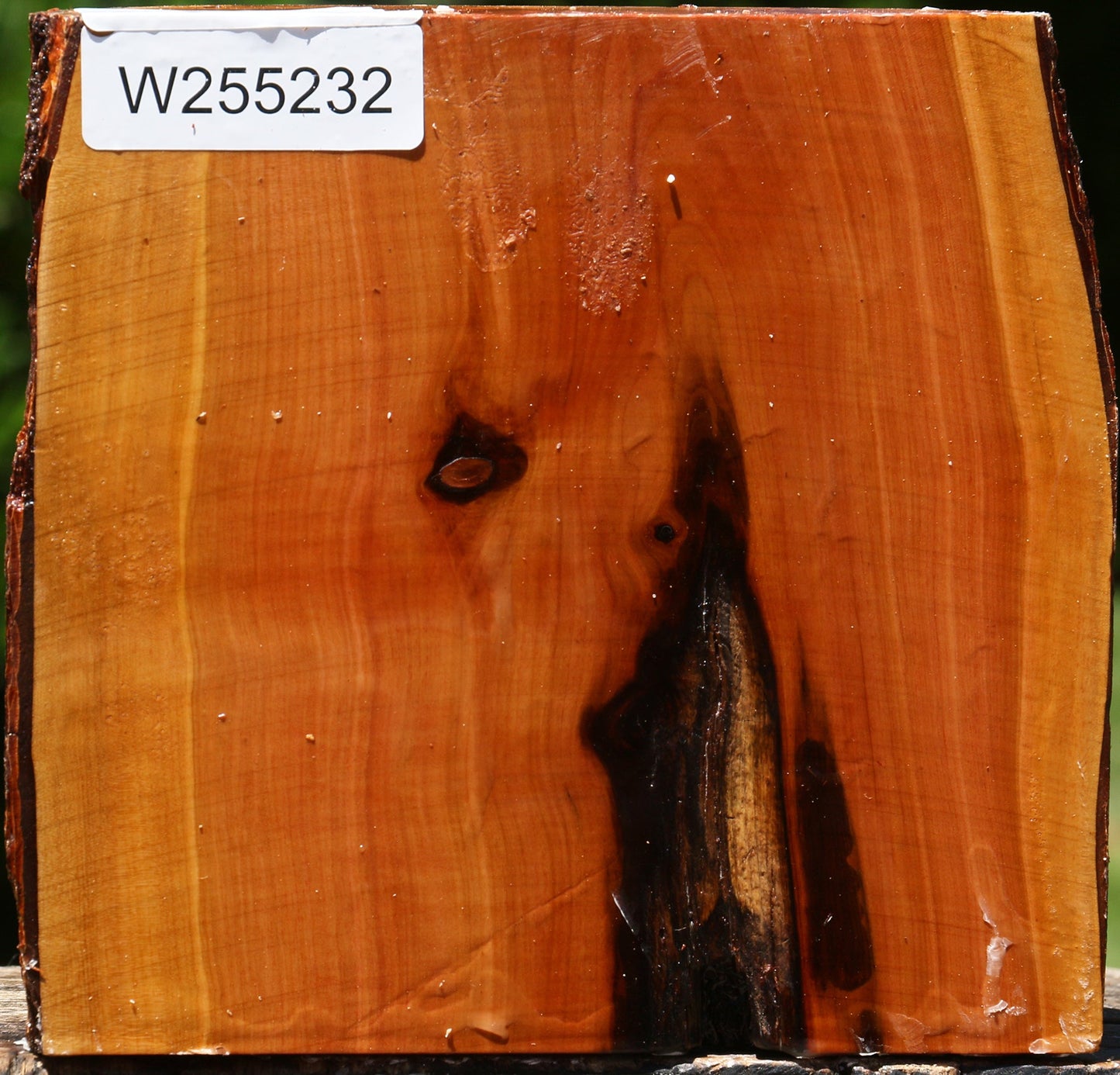 Oregon Ironwood Half Log