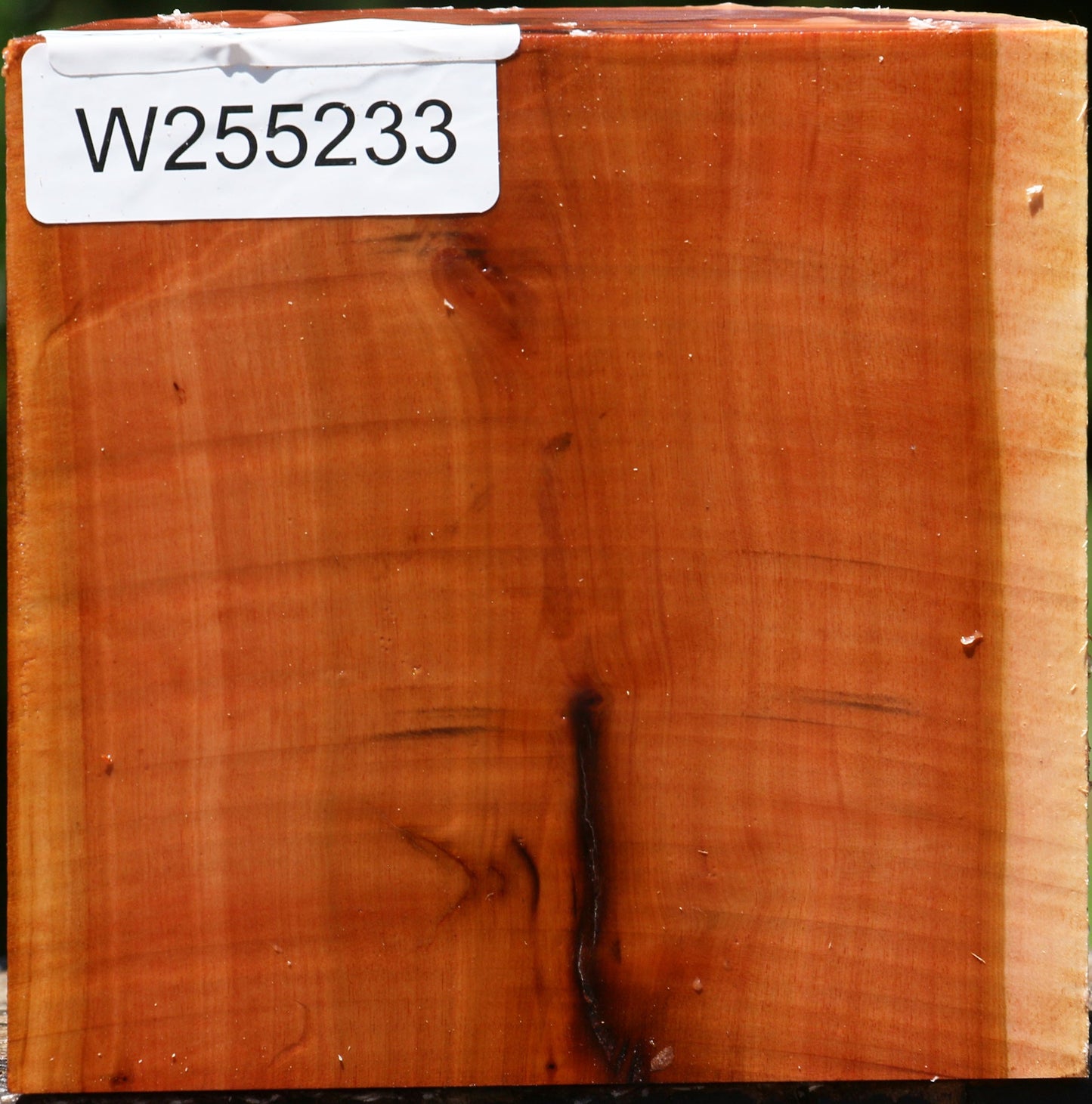 Oregon Ironwood Half Log