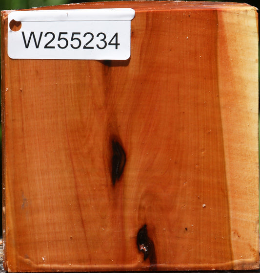 Oregon Ironwood Half Log
