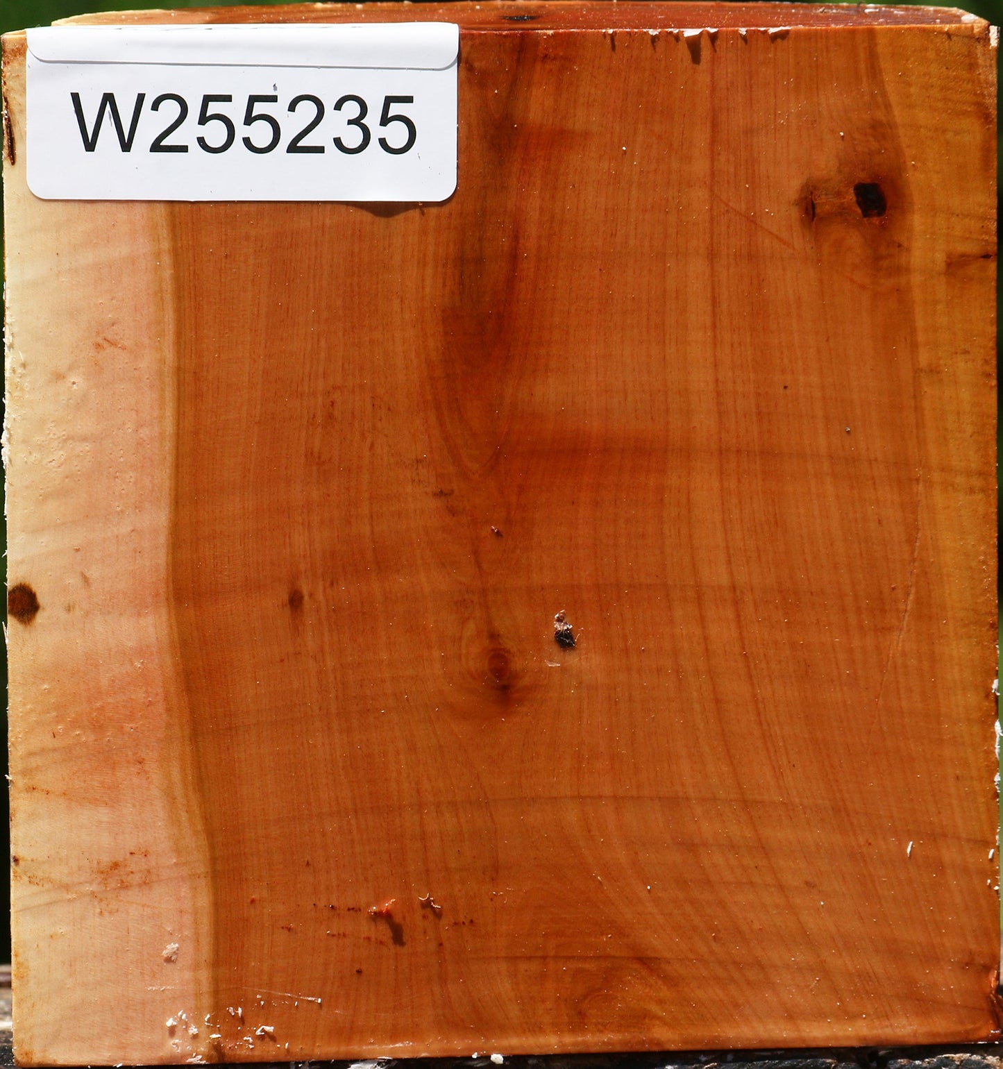 Oregon Ironwood Half Log