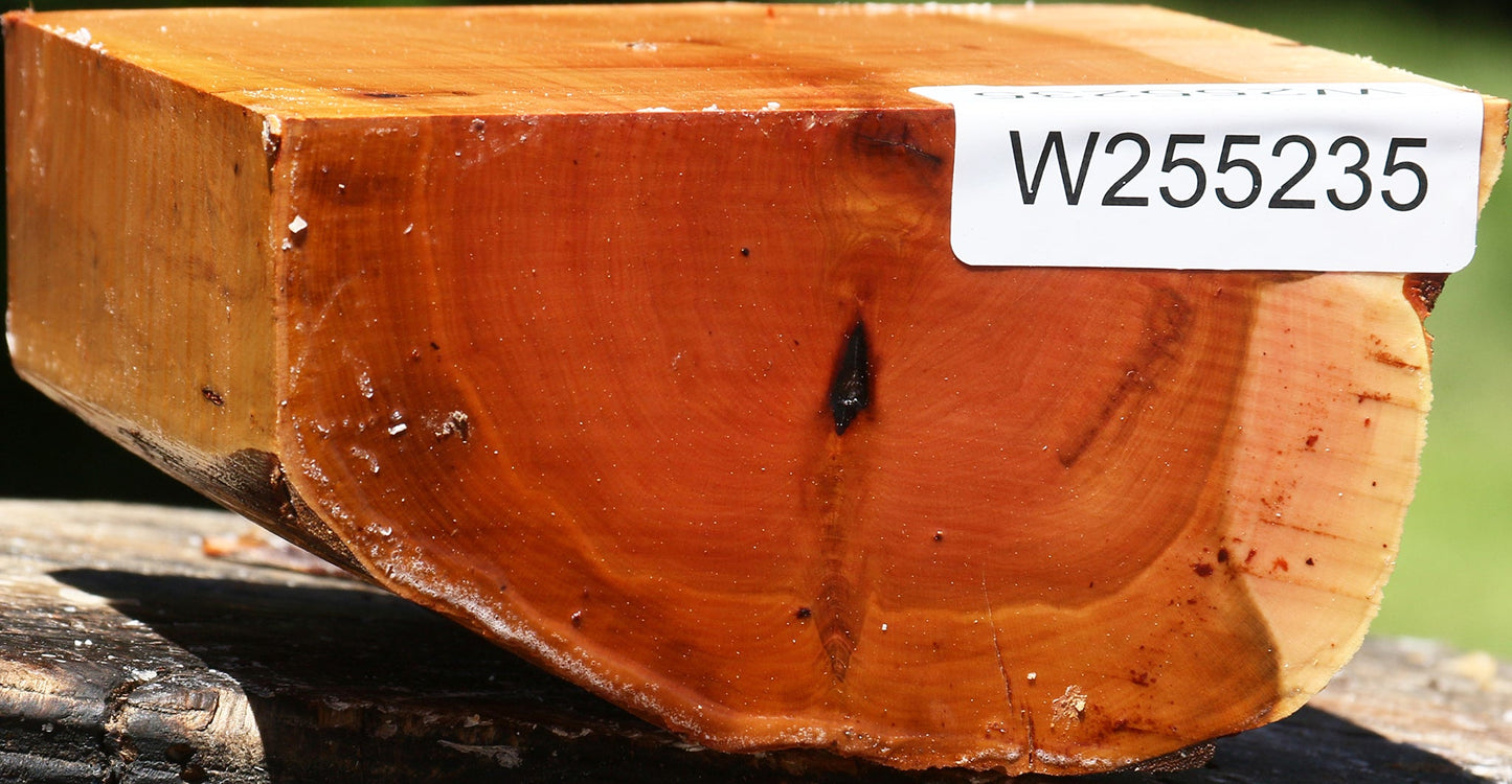Oregon Ironwood Half Log