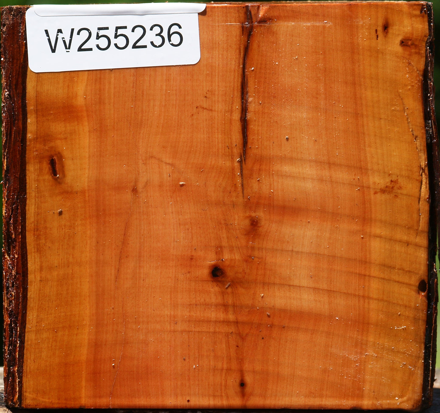 Oregon Ironwood Half Log