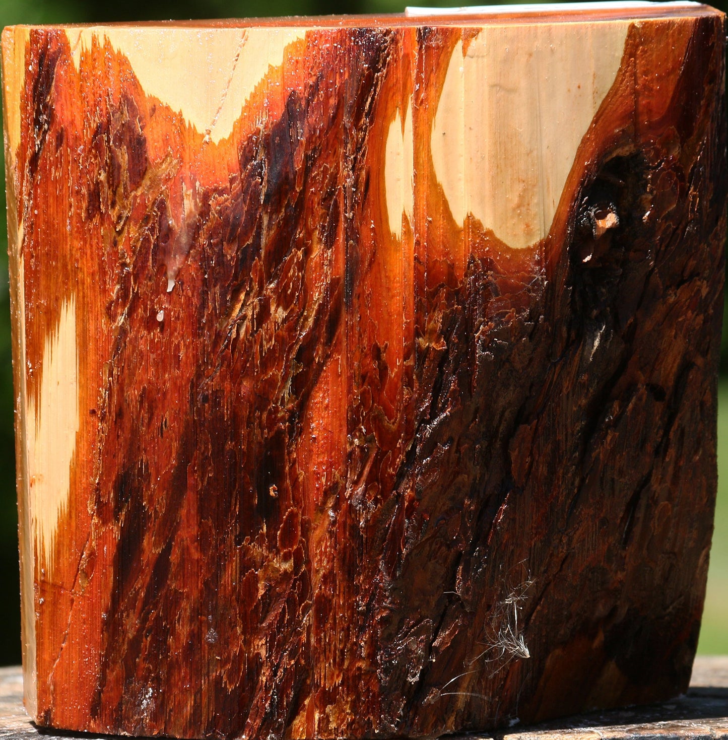 Oregon Ironwood Half Log