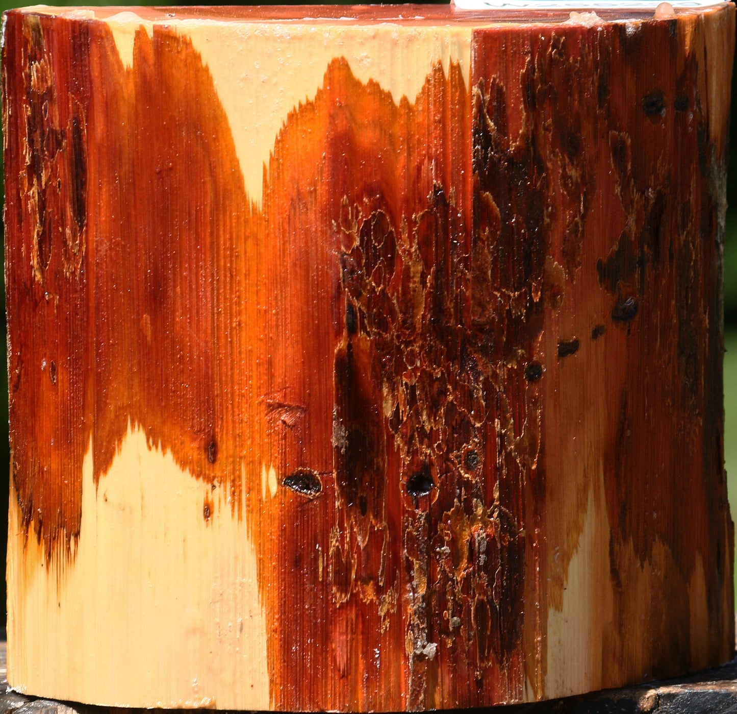 Oregon Ironwood Half Log