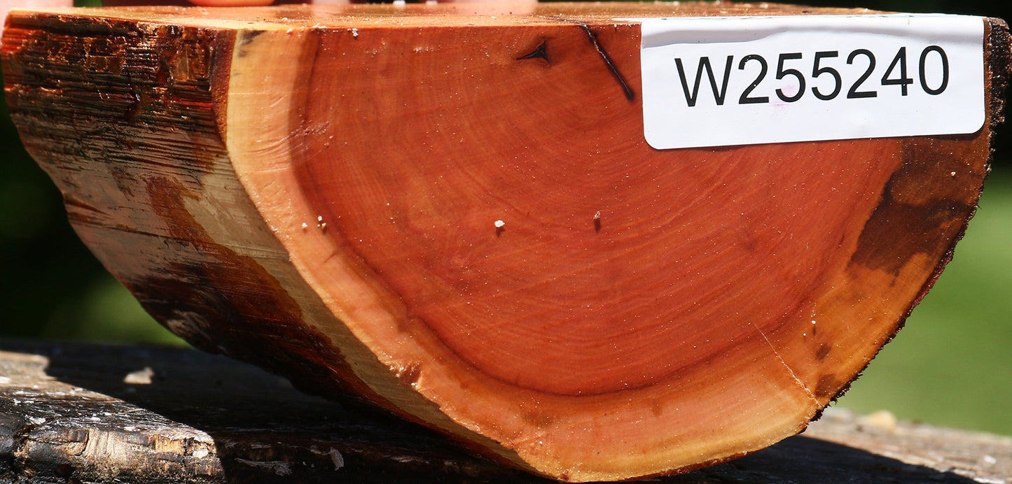 Oregon Ironwood Half Log