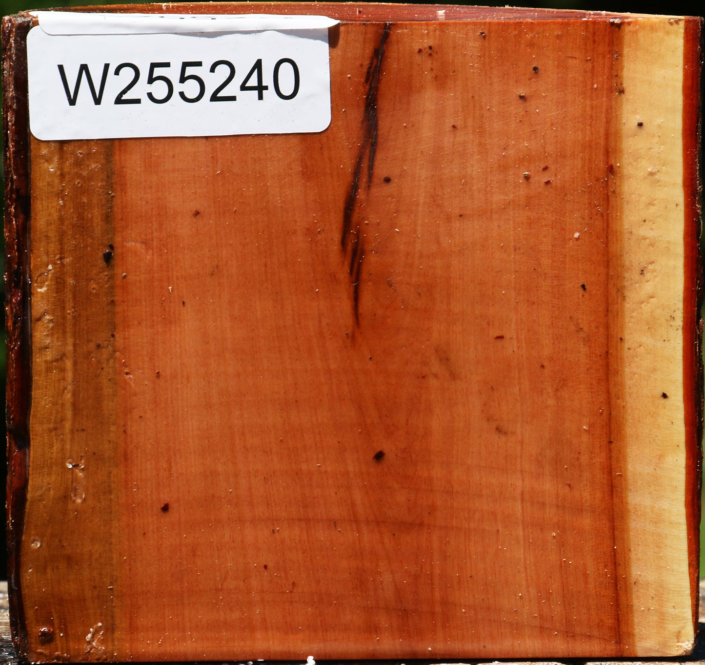 Oregon Ironwood Half Log
