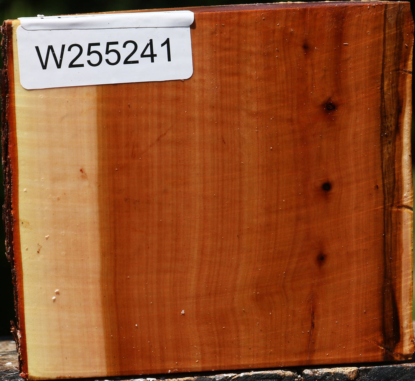 Oregon Ironwood Half Log