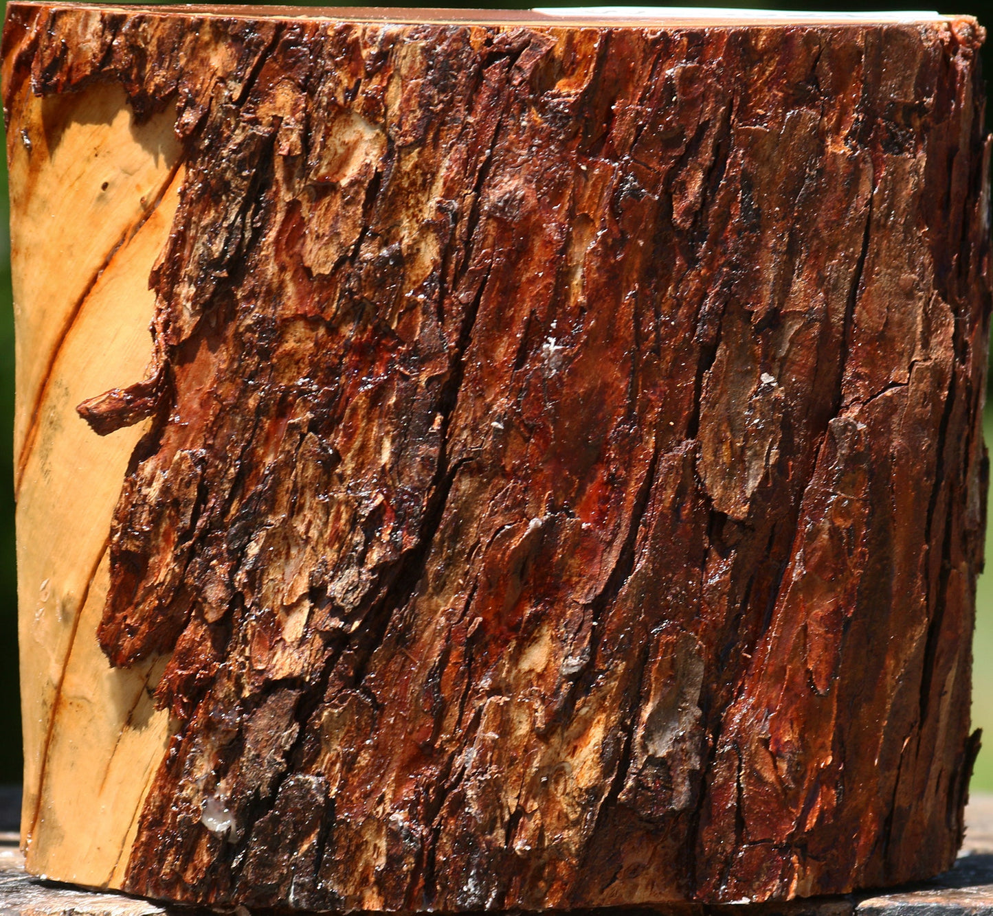 Oregon Ironwood Half Log