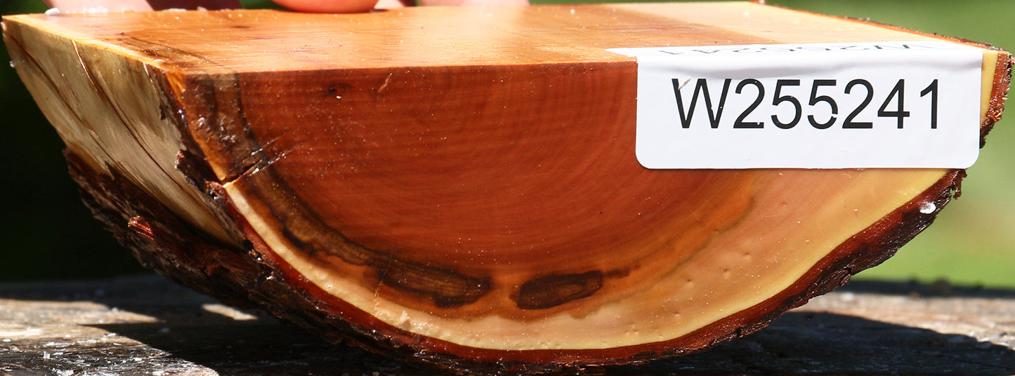 Oregon Ironwood Half Log