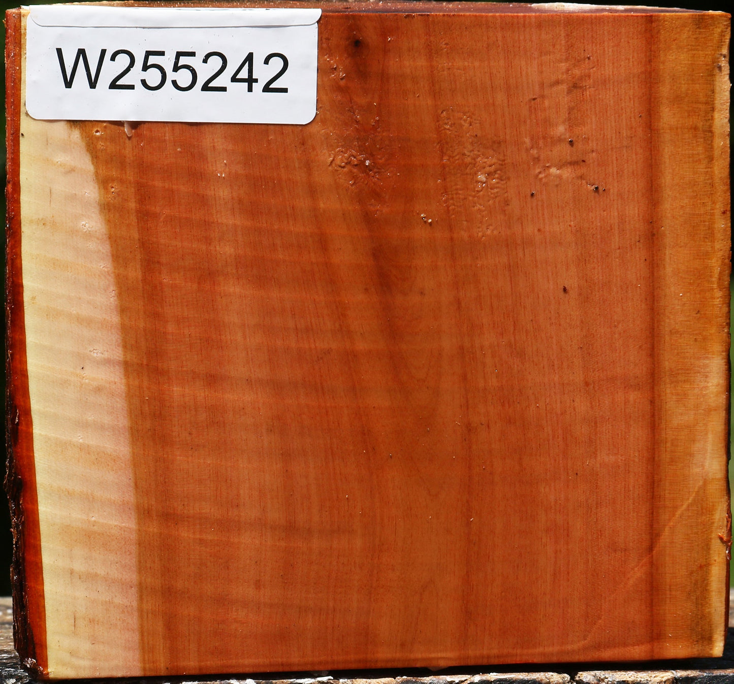 Rustic Oregon Ironwood Half Log
