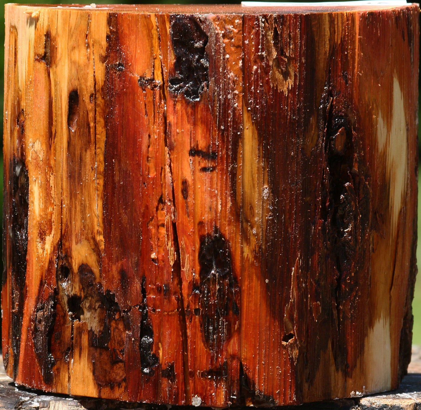 Rustic Oregon Ironwood Half Log