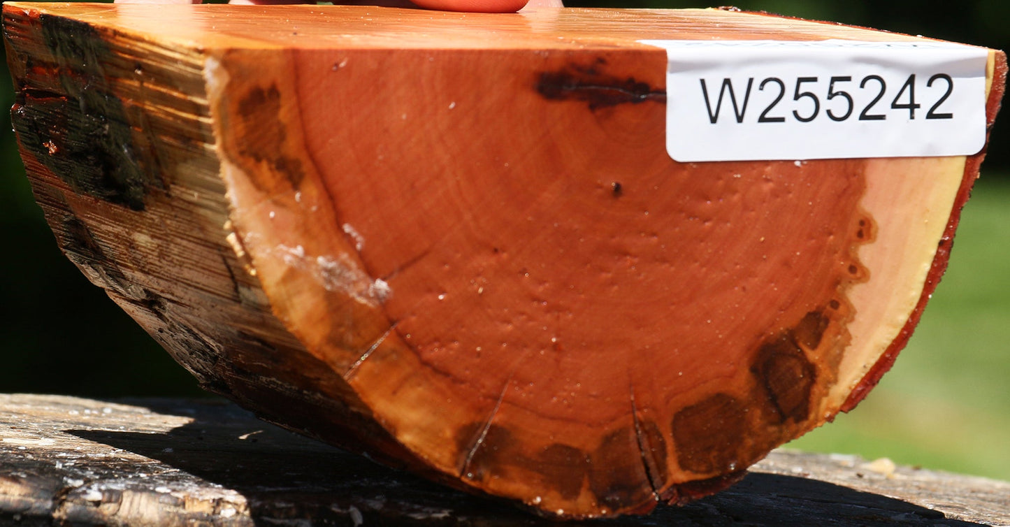 Rustic Oregon Ironwood Half Log
