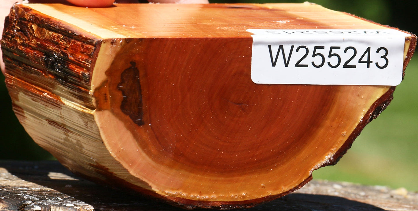 Oregon Ironwood Half Log