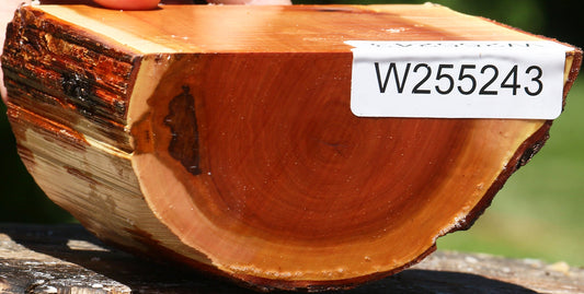 Oregon Ironwood Half Log