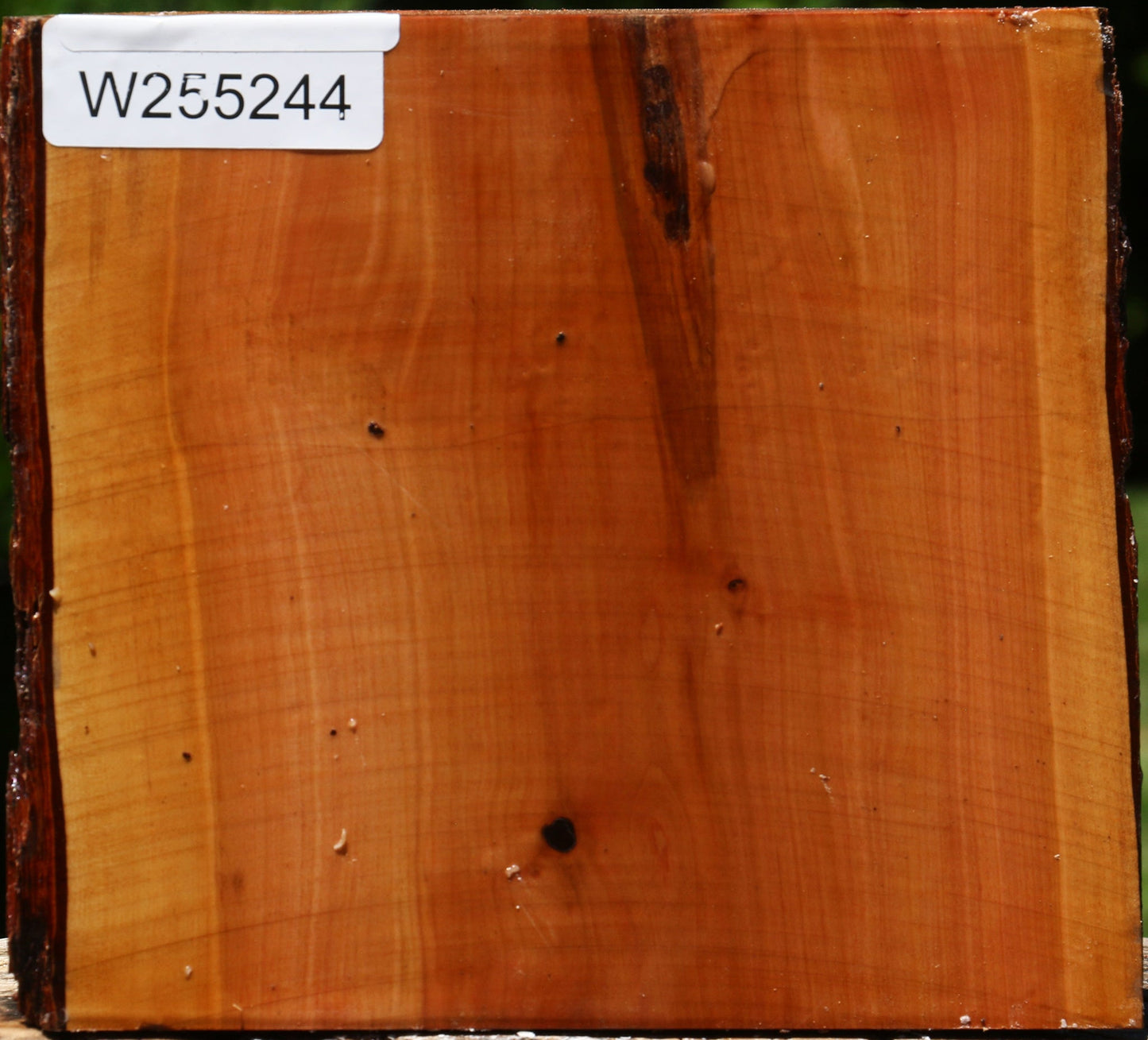 Oregon Ironwood Half Log