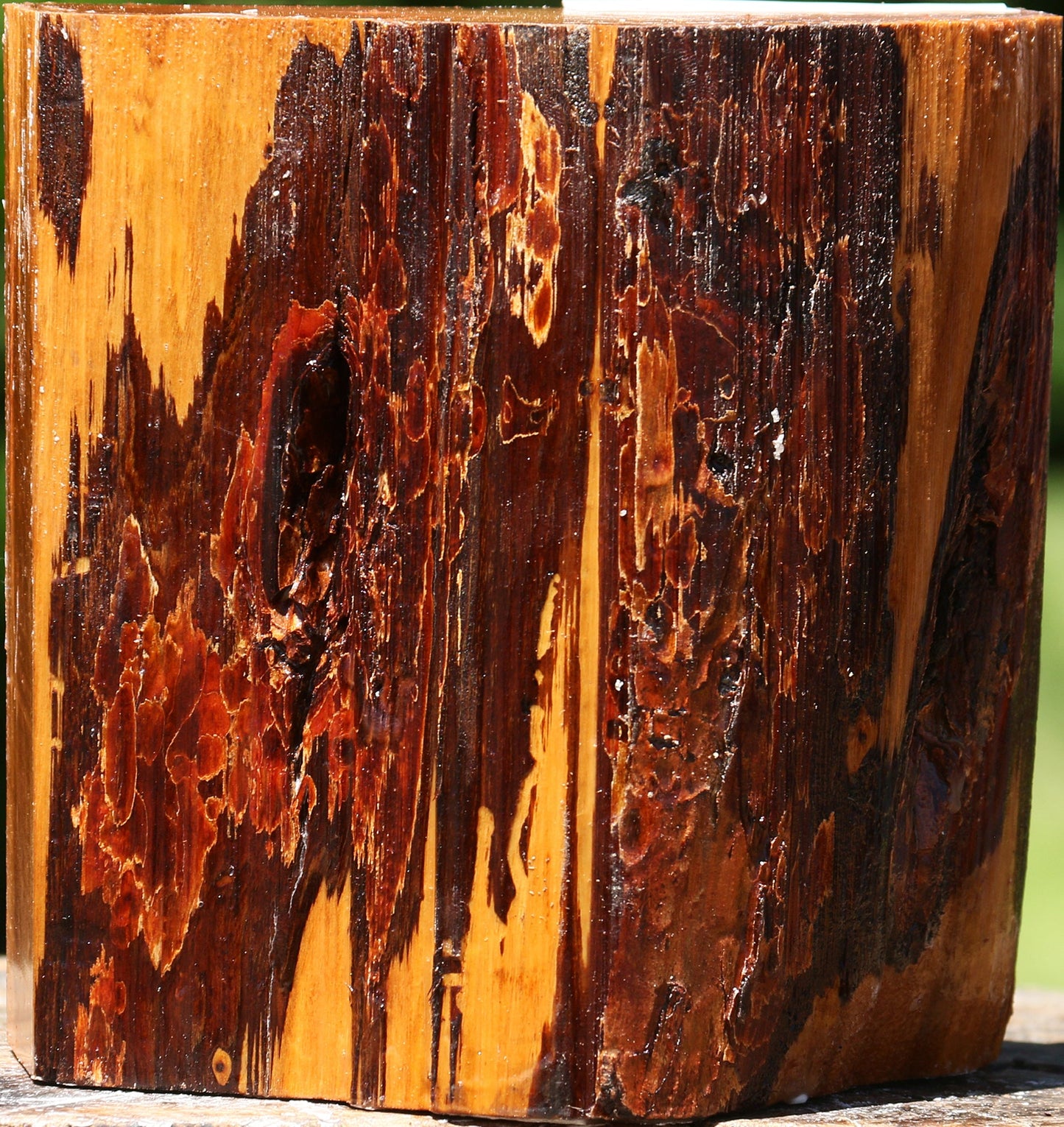 Oregon Ironwood Live Edge Bowl Blank