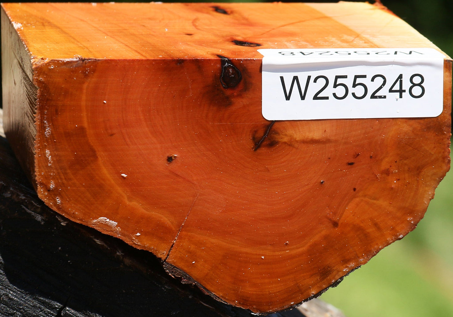 Oregon Ironwood Live Edge Bowl Blank