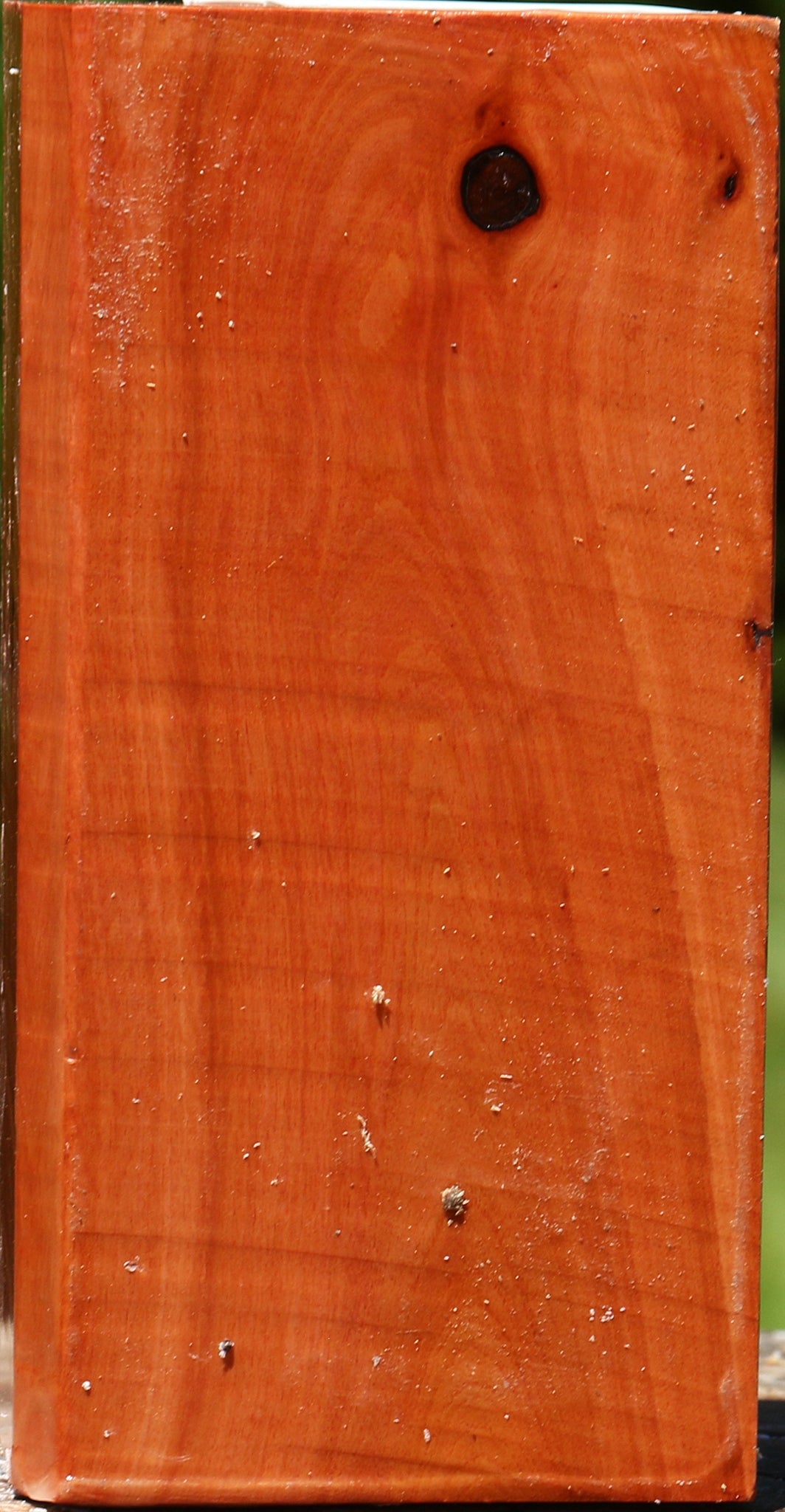 Oregon Ironwood Turning Square