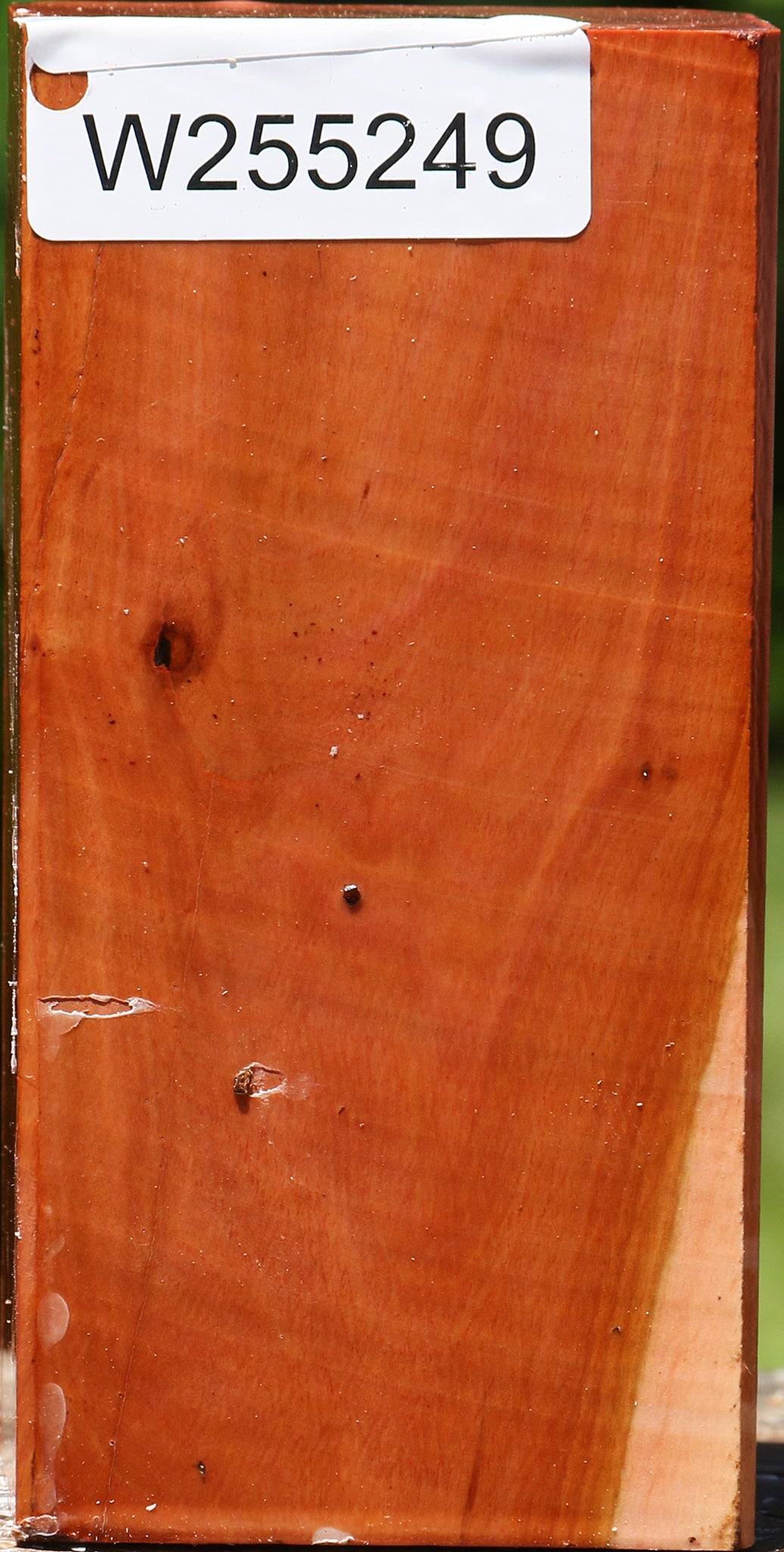 Oregon Ironwood Turning Square