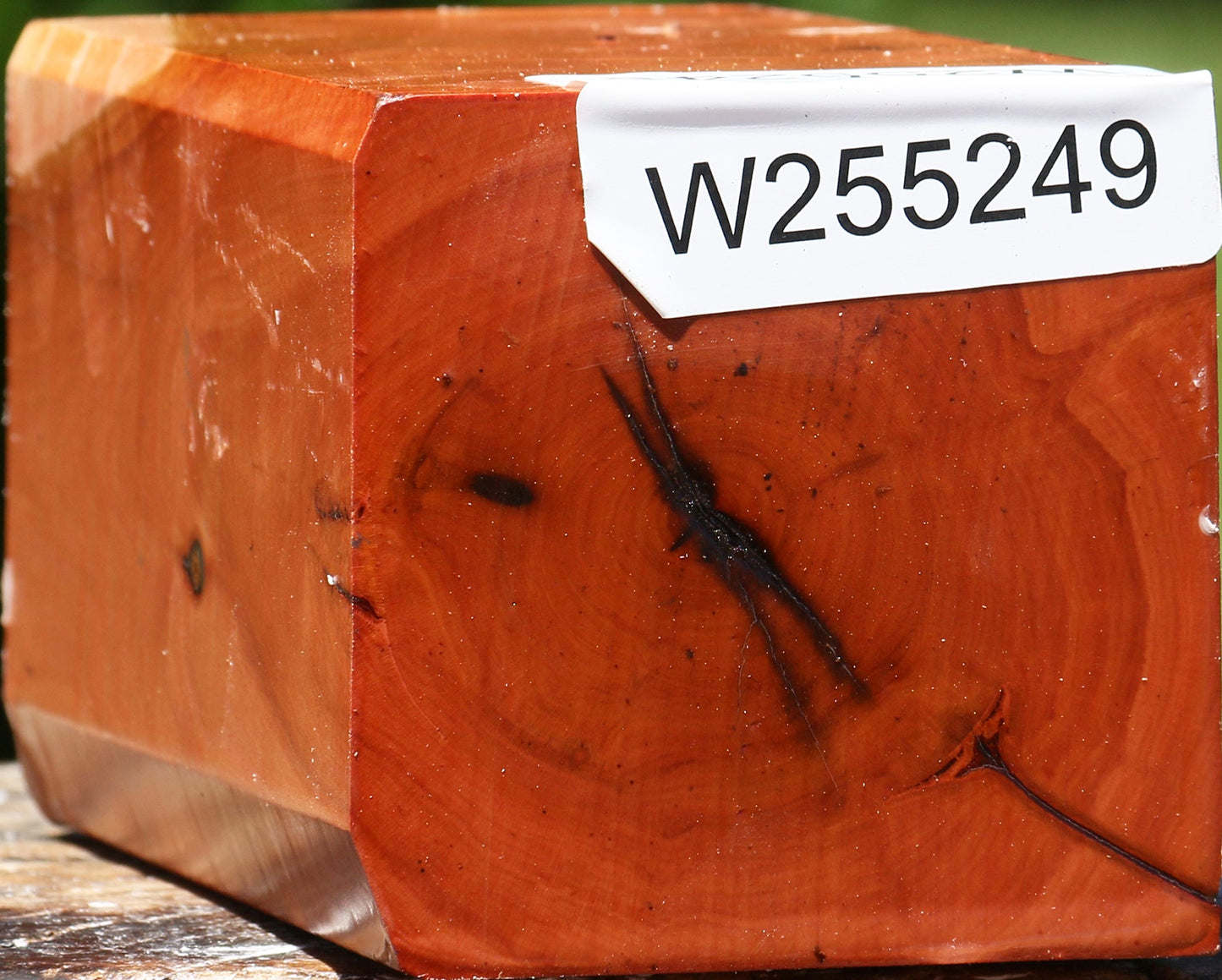 Oregon Ironwood Turning Square