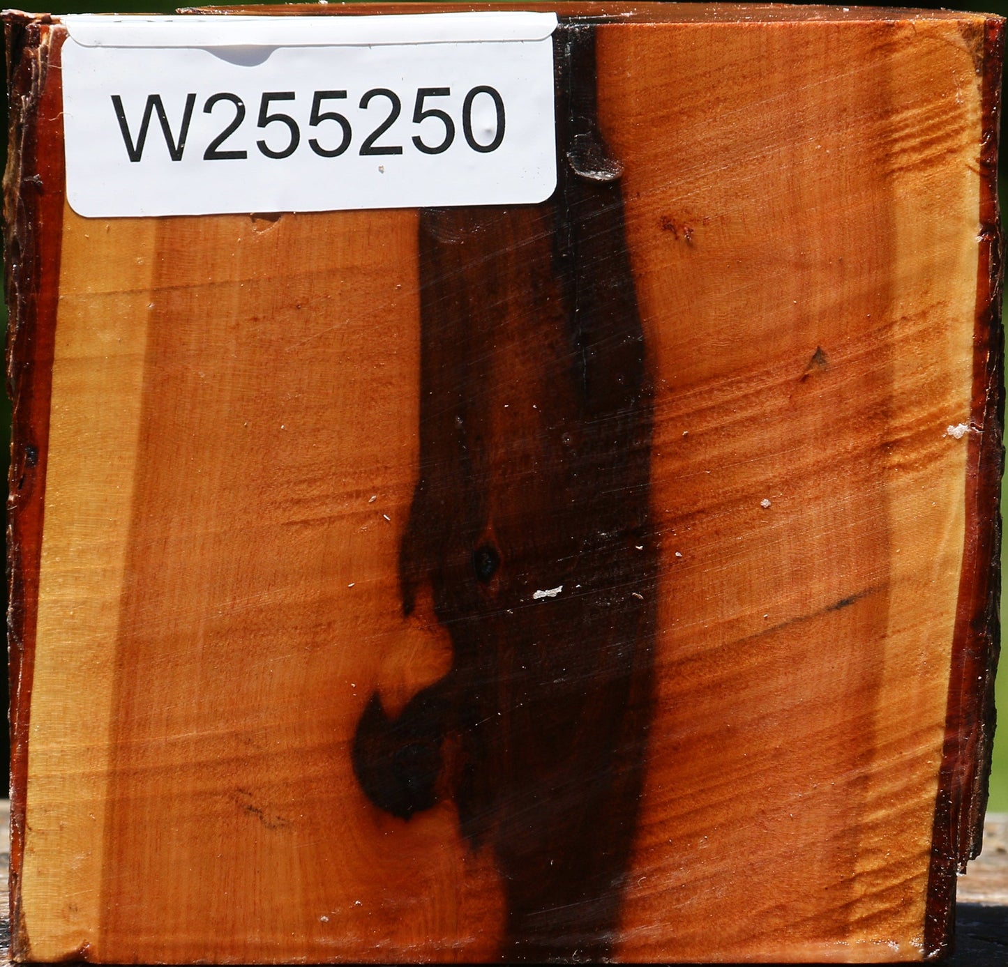 Oregon Ironwood Half Log