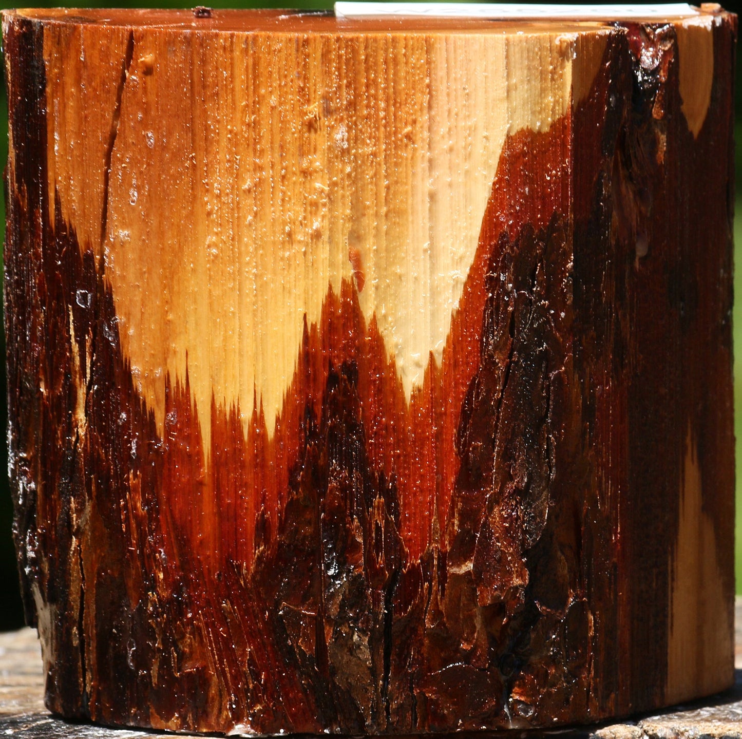 Oregon Ironwood Half Log