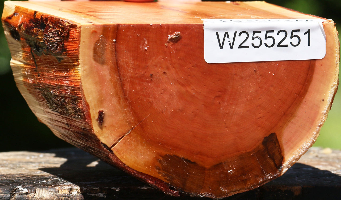Oregon Ironwood Half Log
