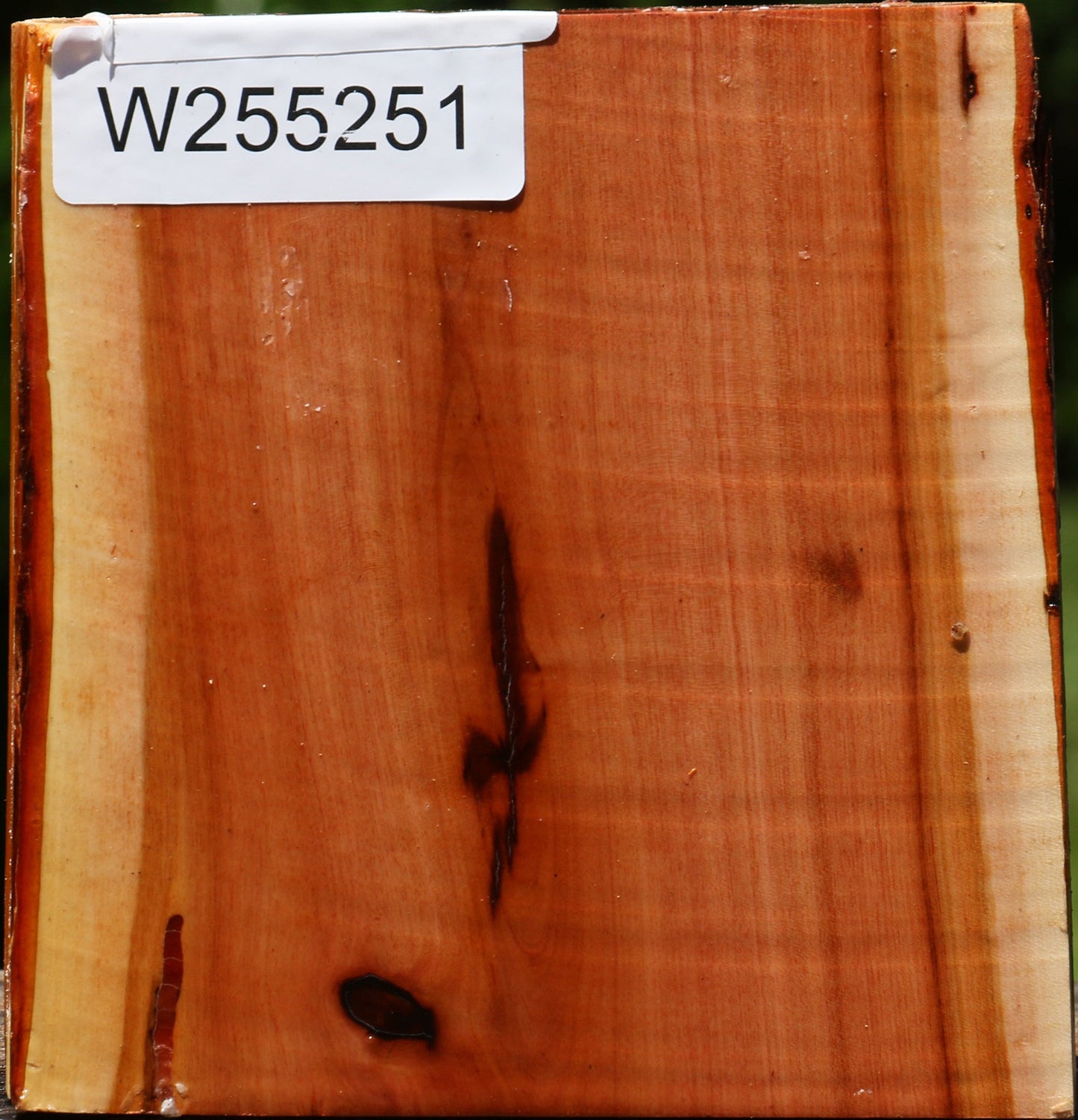 Oregon Ironwood Half Log