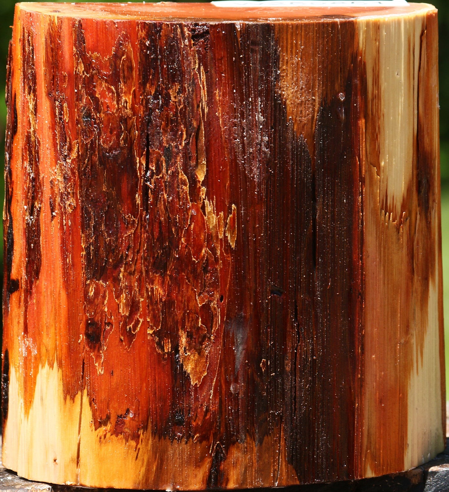 Oregon Ironwood Half Log