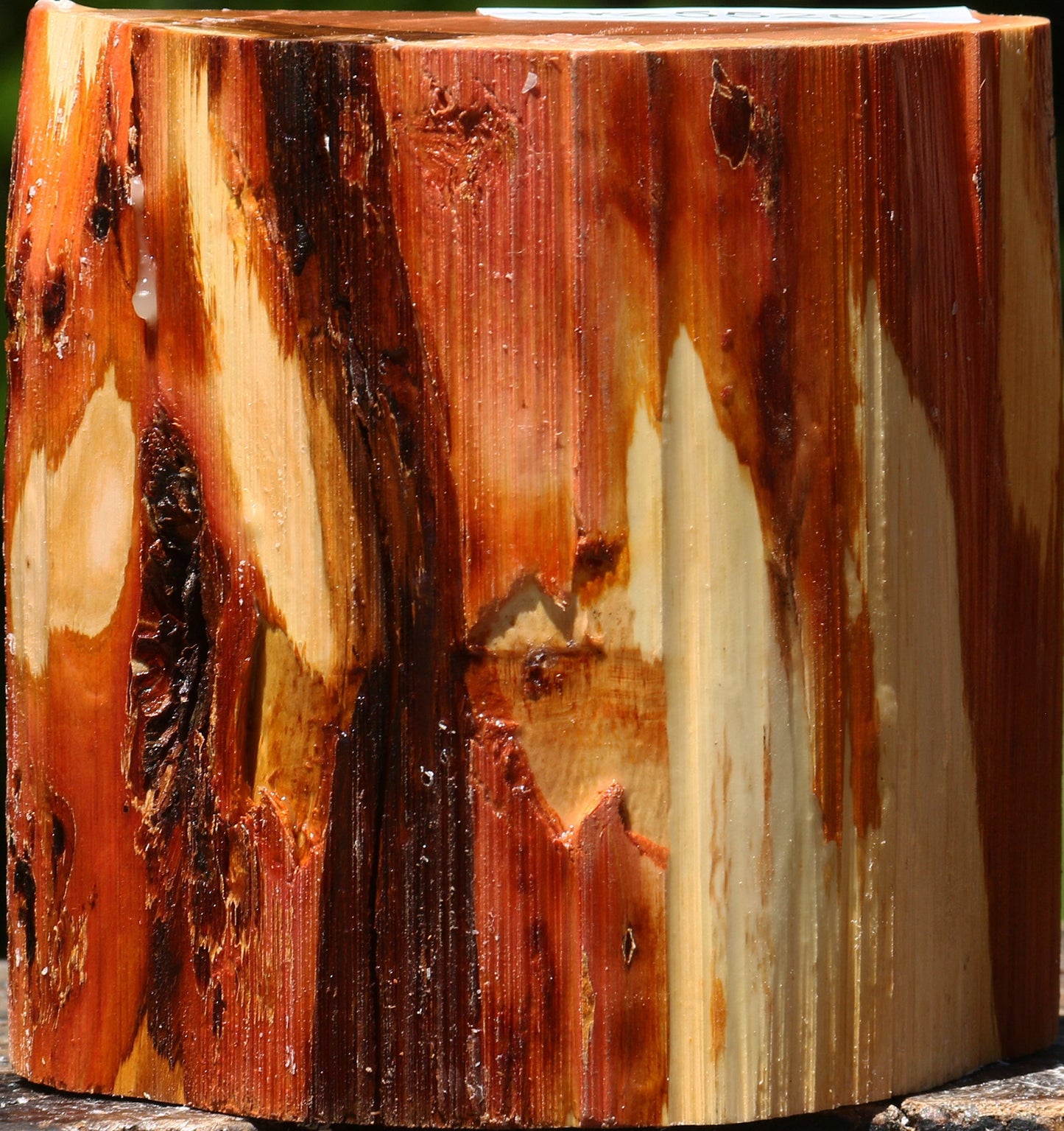 Oregon Ironwood Half Log