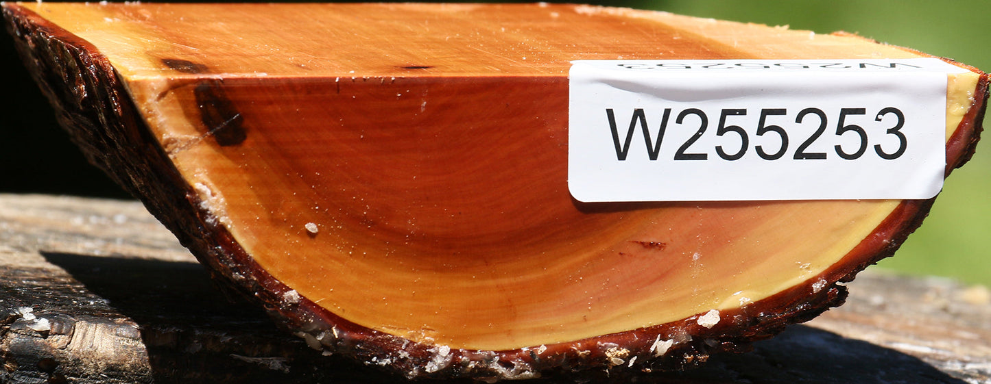 Oregon Ironwood Half Log