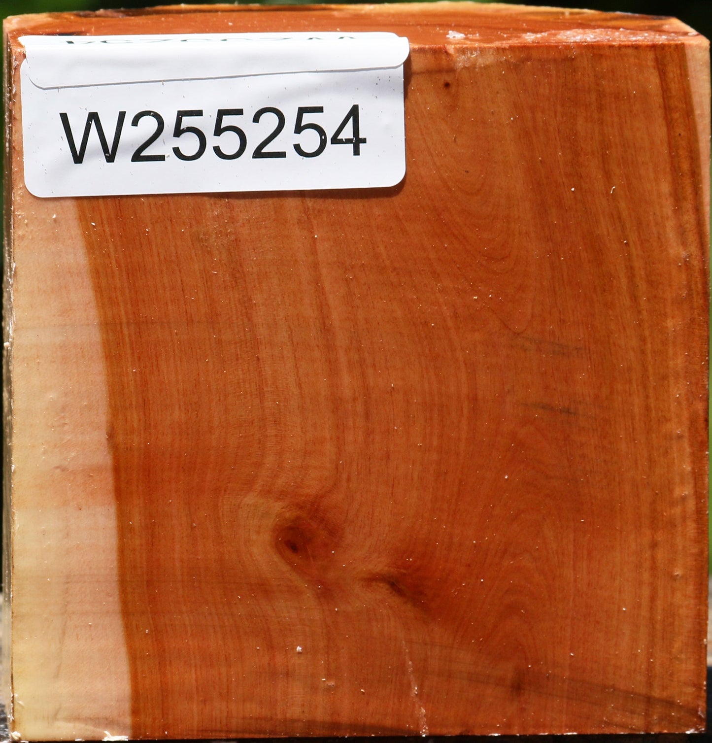 Oregon Ironwood Live Edge Bowl Blank