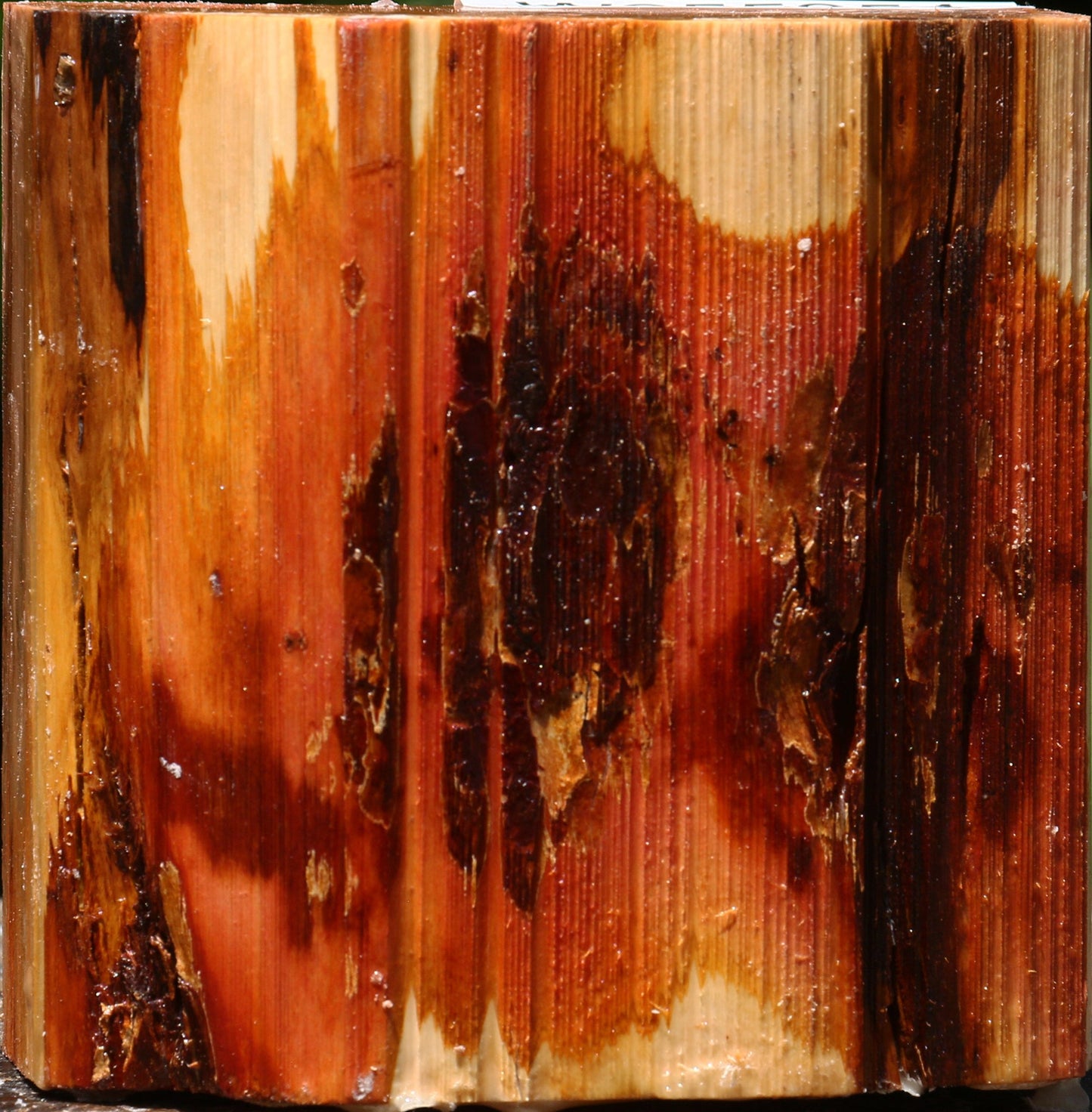 Oregon Ironwood Live Edge Bowl Blank